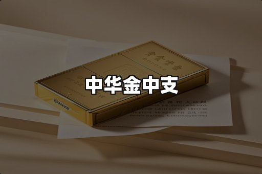 中华金中支